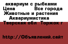 аквариум с рыбками › Цена ­ 1 000 - Все города Животные и растения » Аквариумистика   . Тверская обл.,Торжок г.